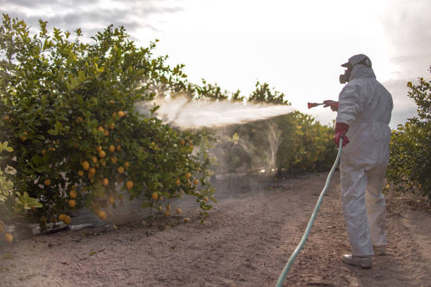 Pest Control for Restaurants in Beach Haven West, NJ