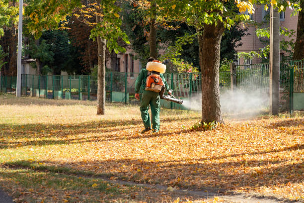 Best Termite Control Services  in Beach Haven West, NJ