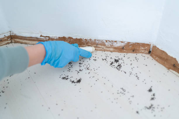 Best Commercial Pest Control Services  in Beach Haven West, NJ